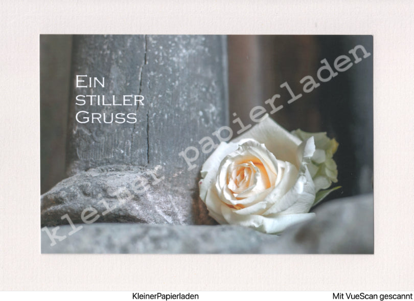 Fotoklappkarte Motiv Rose