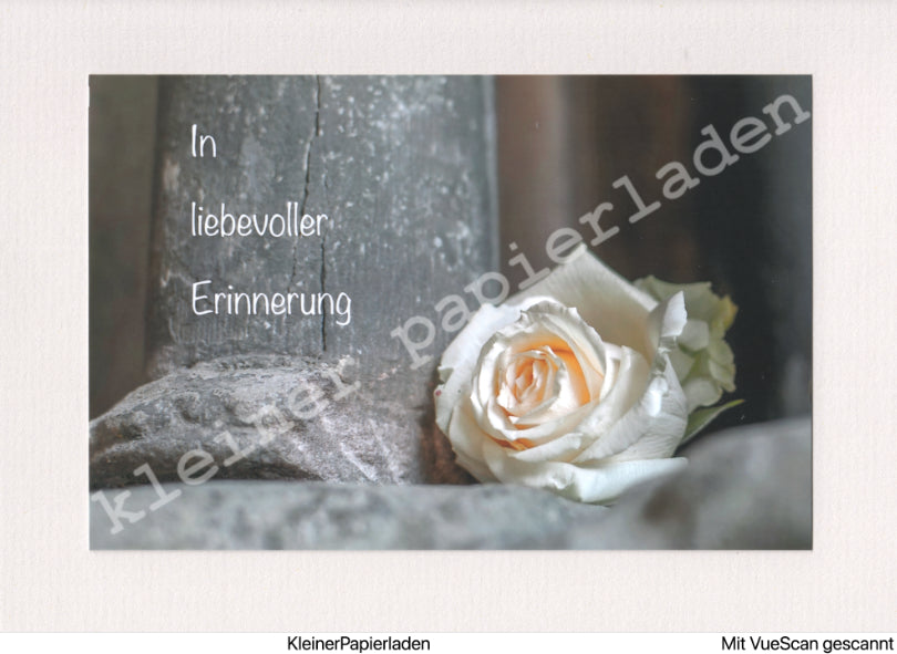 Fotoklappkarte Motiv Rose