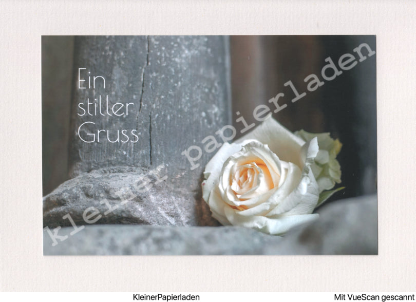 Fotoklappkarte Motiv Rose