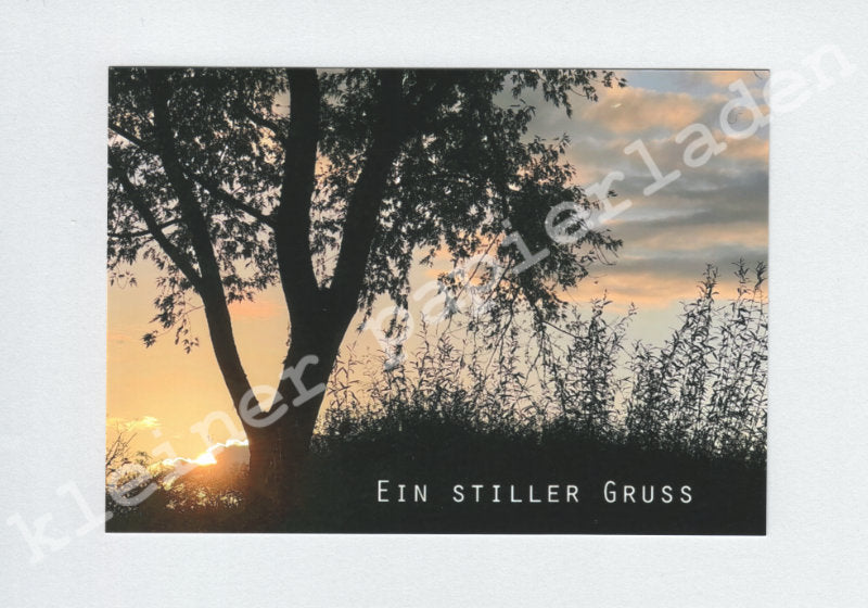 Fotoklappkarte Motiv Abendsonne im Park