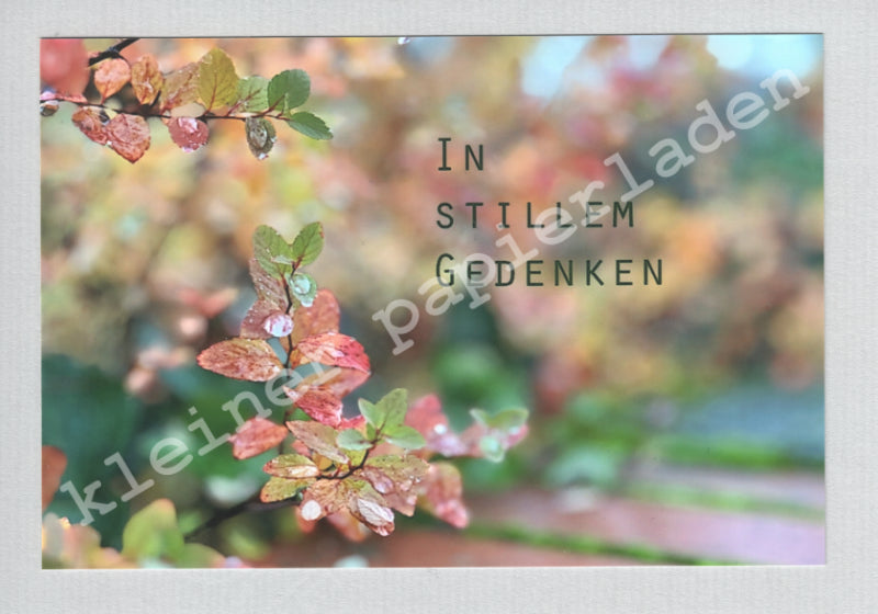 Fotoklappkarte Motiv Tropfen auf bunten Blättern