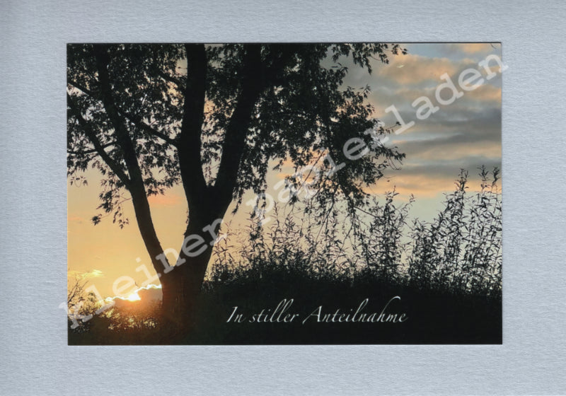 Fotoklappkarte Motiv Abendsonne im Park