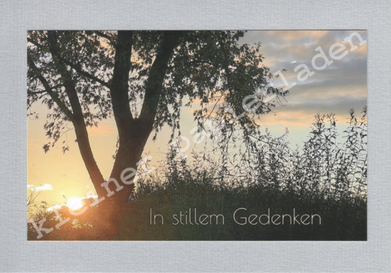 Fotoklappkarte Motiv Abendsonne im Park