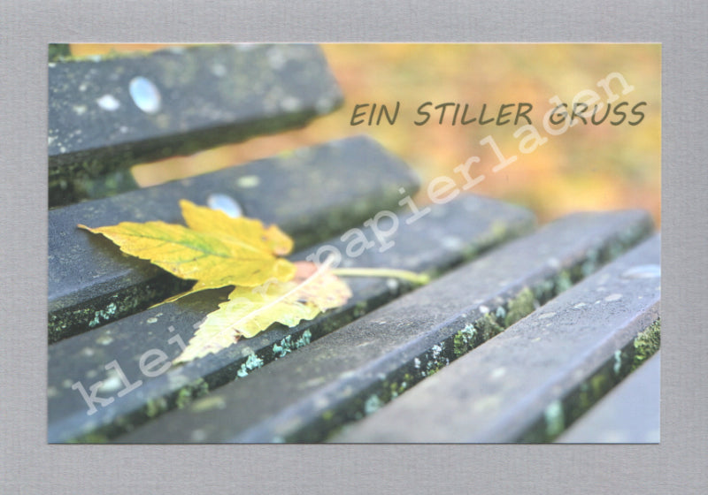 Fotoklappkarte Motiv Blatt auf einer Bank - Einzelstück !