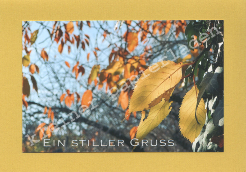 Fotoklappkarte Motiv Blätter im Herbstlicht - Einzelstück !