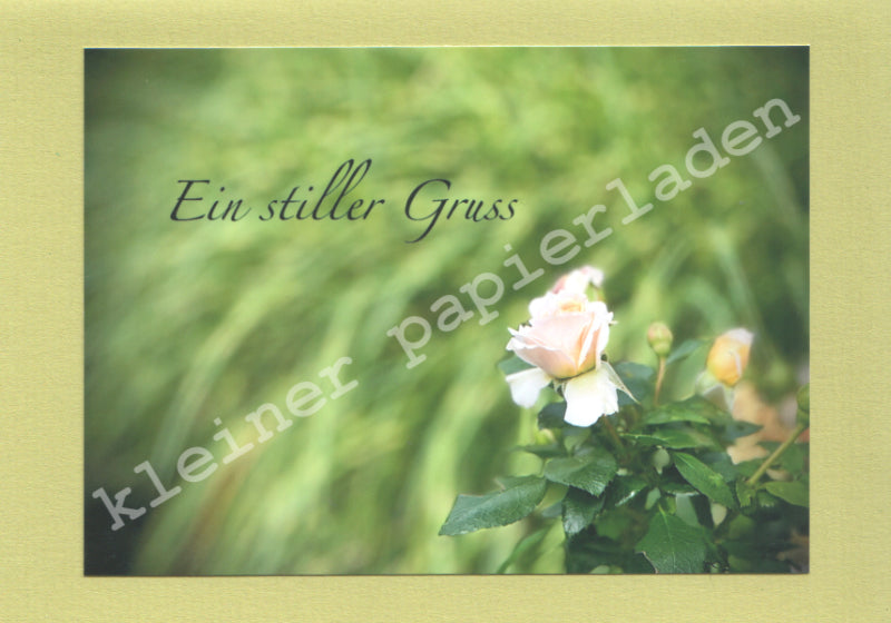 Fotoklappkarte Motiv Rose - Einzelstück!