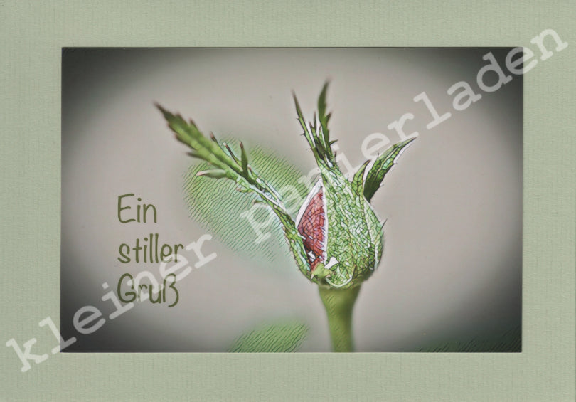 Fotoklappkarte Motiv Rosen-Knospe - Einzelstück!
