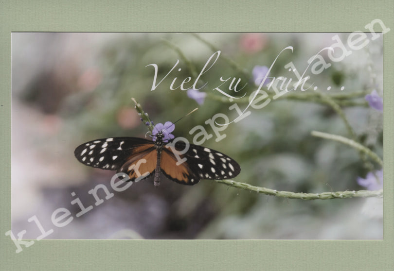 Fotoklappkarte Motiv Gepunkteter Schmetterling - Einzelstück!