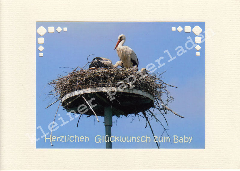 Fotoklappkarte Motiv Störche