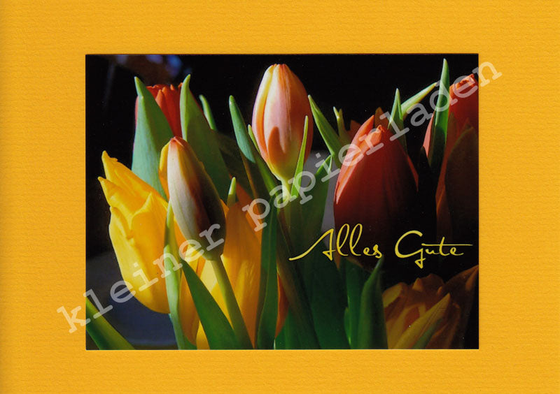 Fotoklappkarte Motiv Tulpen