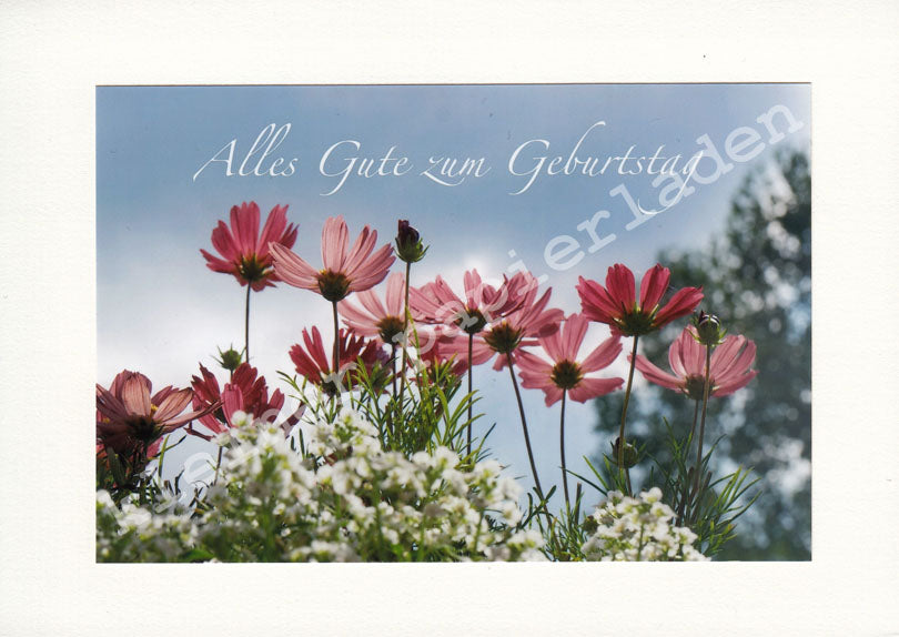 Fotoklappkarte Motiv Zart-Rosa Blumen