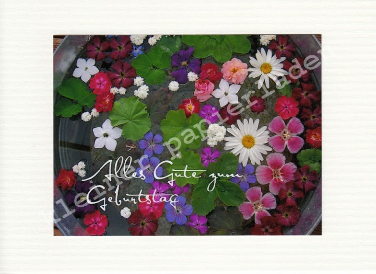 Fotoklappkarte Motiv Schwimmende Blüten