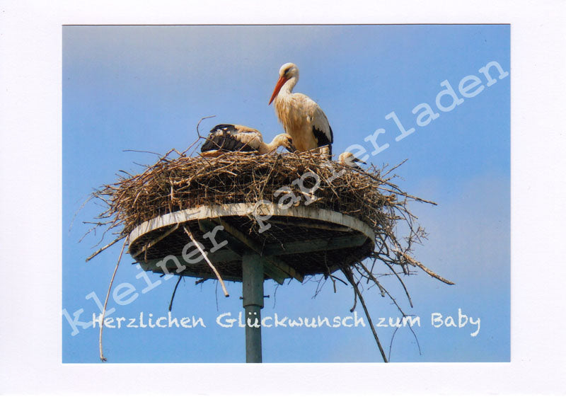 Fotoklappkarte Motiv Störche