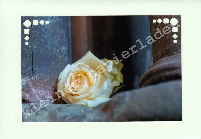 Fotoklappkarte Motiv Rose