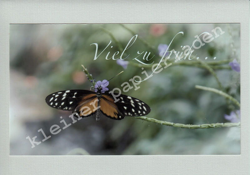 Fotoklappkarte Motiv Schmetterling