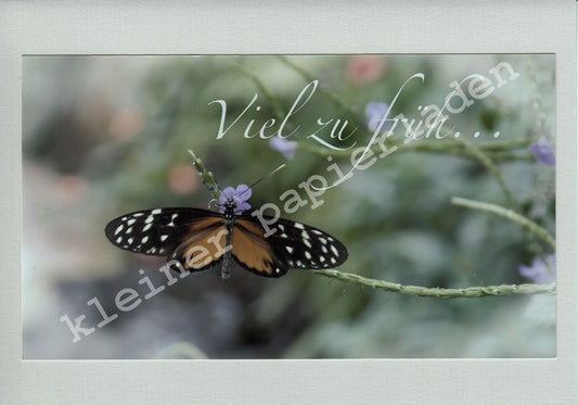 Fotoklappkarte Motiv Schmetterling