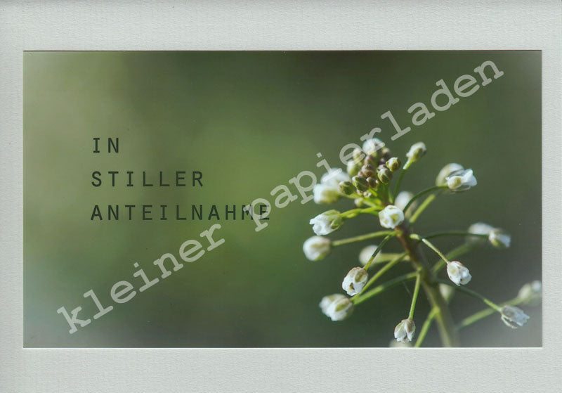 Fotoklappkarte Motiv Blüte