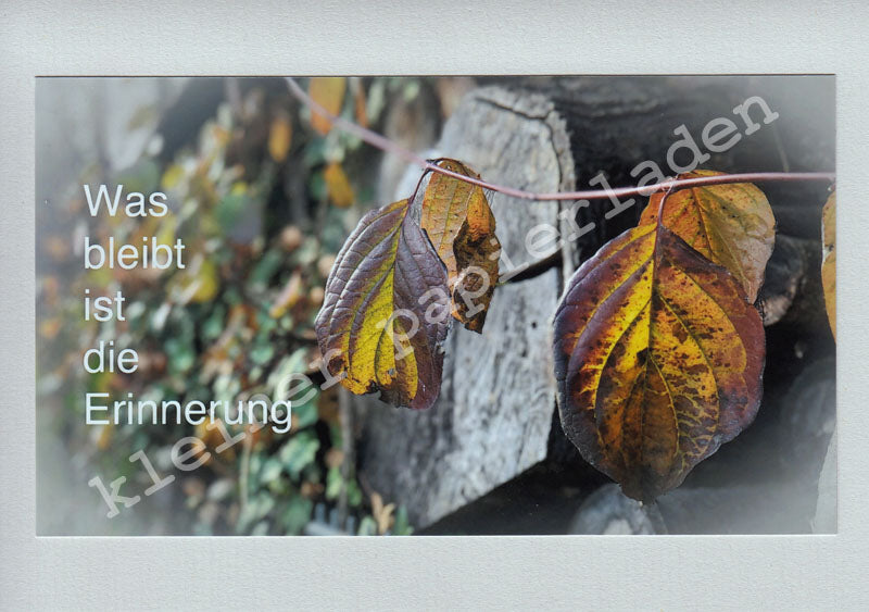Fotoklappkarte Motiv Herbst-Farben
