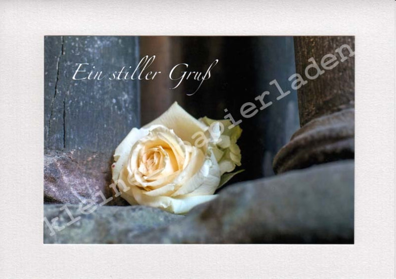 Fotoklappkarte Motiv Rose