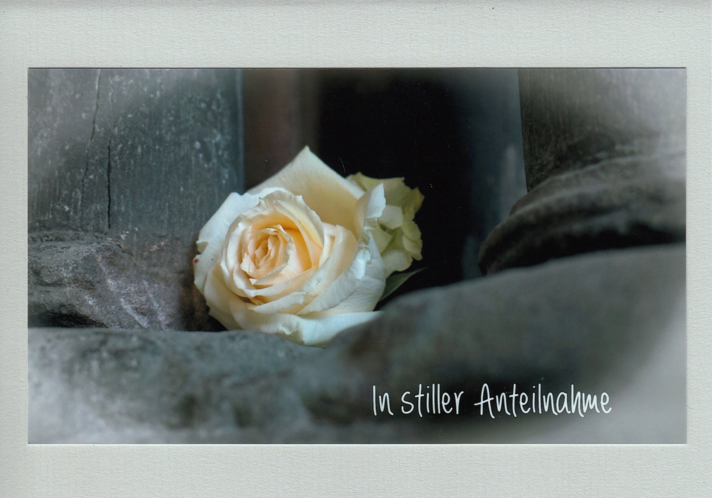 Fotoklappkarte Motiv Rose