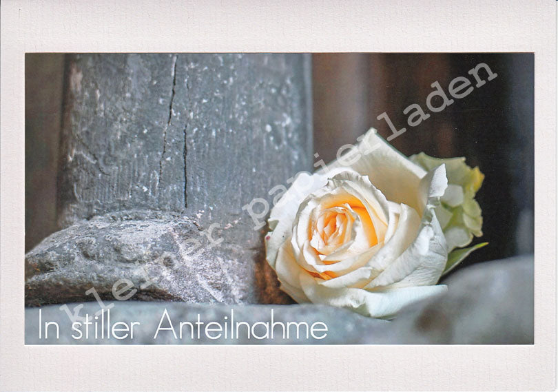 Fotoklappkarte Motiv Rose