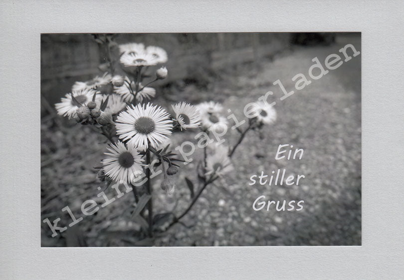 Fotoklappkarte Motiv Am Wegesrand