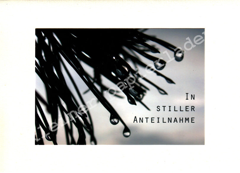 Fotoklappkarte Motiv Kiefer