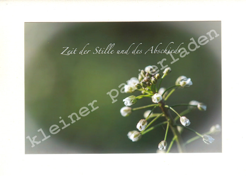 Fotoklappkarte Motiv Blüte