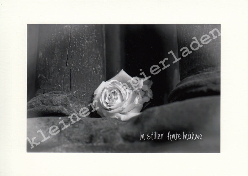 Fotoklappkarte Motiv Rose