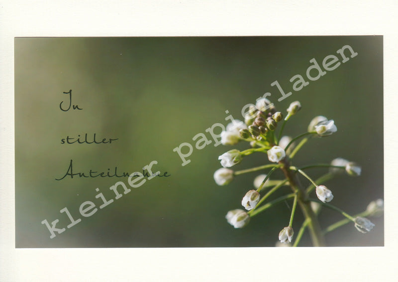 Fotoklappkarte Motiv Blüte