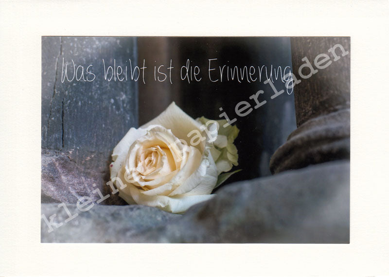 Fotoklappkarte Motiv Rose