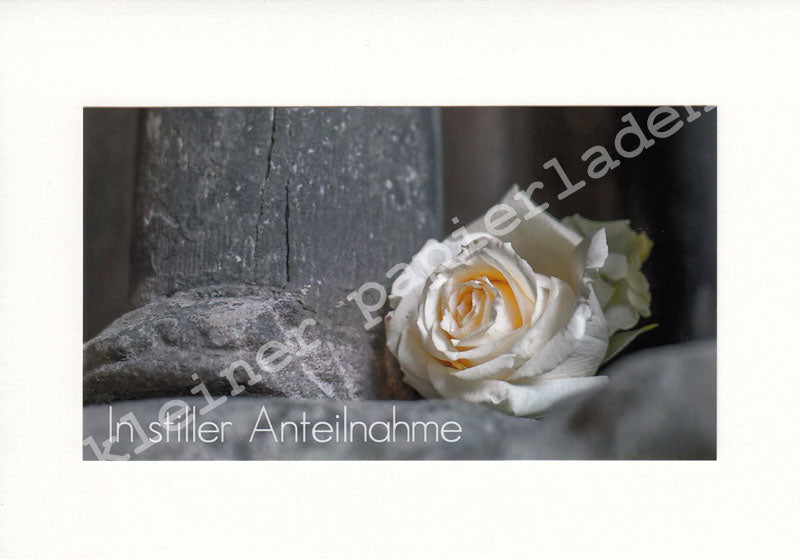 Fotoklappkarte Motiv Rose