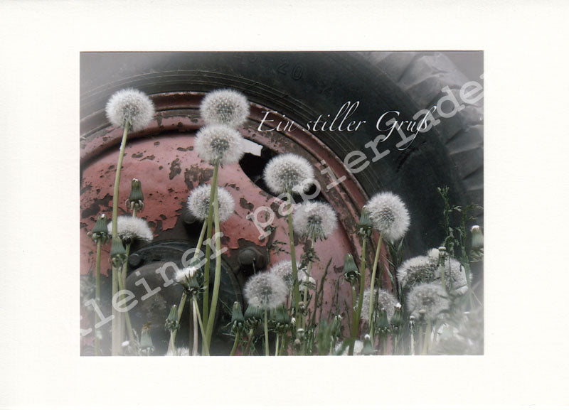 Fotoklappkarte Motiv Pusteblumen