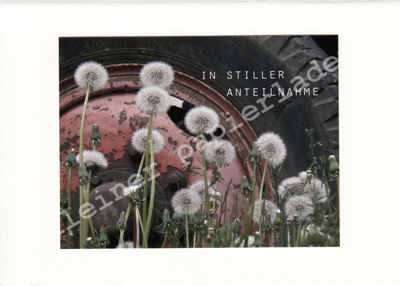 Fotoklappkarte Motiv Pusteblumen