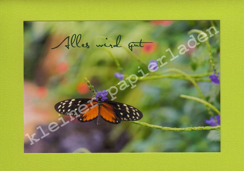 Fotoklappkarte Motiv Schmetterling