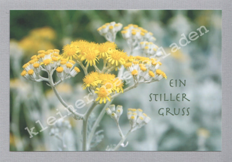 Fotoklappkarte Motiv Gelbe Blüten - Einzelstück !
