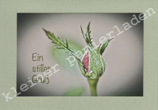 Fotoklappkarte Motiv Rosen-Knospe - Einzelstück!