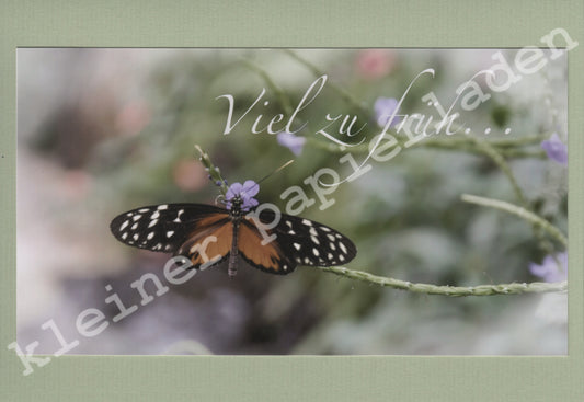 Fotoklappkarte Motiv Gepunkteter Schmetterling - Einzelstück!