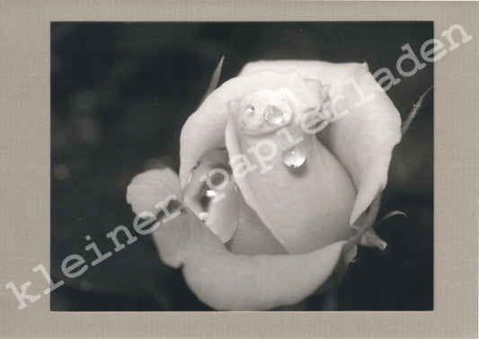 Fotoklappkarte Motiv Rose - Einzelstück!