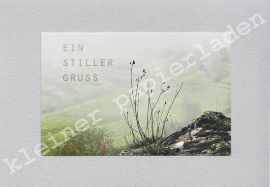 Fotoklappkarte Motiv Pflanze am Fels