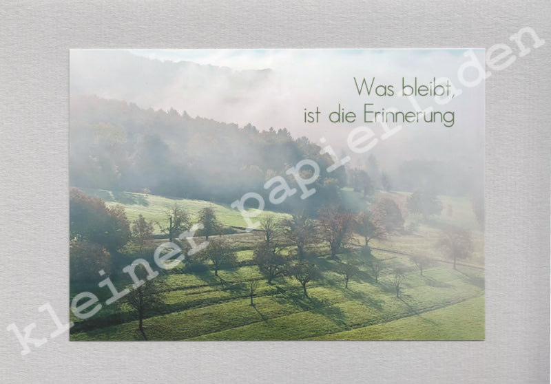 Fotoklappkarte Motiv Nebel kommt auf