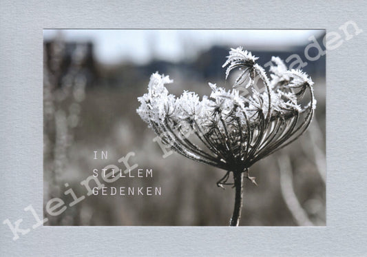 Fotoklappkarte Motiv Vereiste Blüte