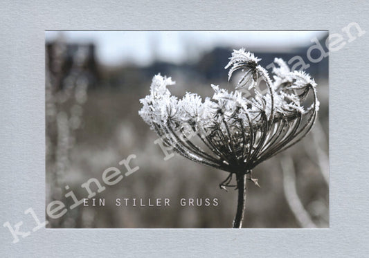 Fotoklappkarte Motiv Vereiste Blüte