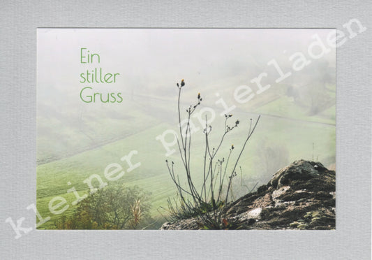 Fotoklappkarte Motiv Pflanze am Fels