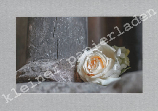 Fotoklappkarte Motiv Rose