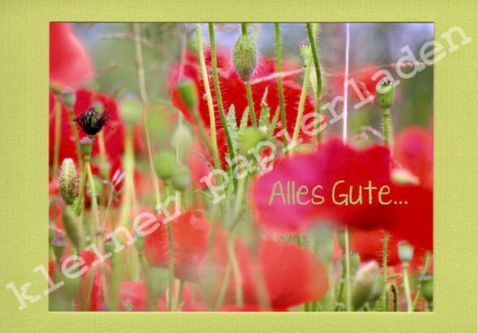Fotoklappkarte Motiv Wiese mit Mohn