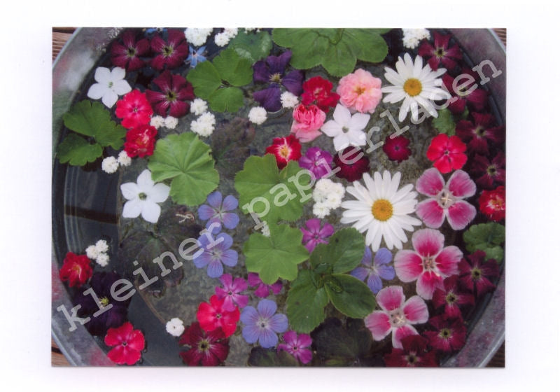 Fotoklappkarte Motiv Schwimmende Blüten