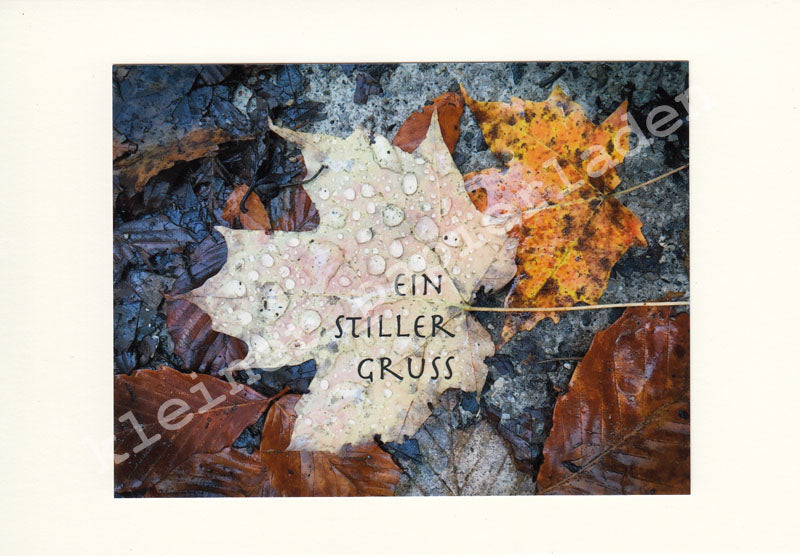 Fotoklappkarte Motiv Herbstblätter