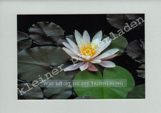 Fotoklappkarte Motiv Seerose