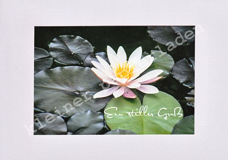 Fotoklappkarte Motiv Seerose